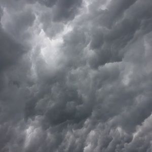 Meet your Posher, Sierra